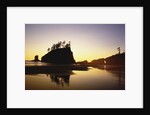 Second Beach in Olympic National Park by Anonymous