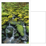 Stream Flowing Through Moss Covered Rocks by Anonymous
