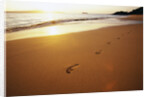 Footprints on Makena Beach by Anonymous