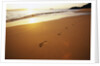 Footprints on Makena Beach by Anonymous