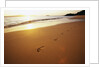 Footprints on Makena Beach by Anonymous