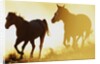Horses Running at Sunset by Anonymous