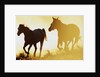 Horses Running at Sunset by Anonymous