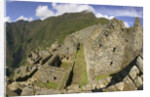 House Ruins at Machu Picchu by Anonymous
