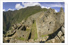 House Ruins at Machu Picchu by Anonymous