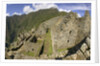 House Ruins at Machu Picchu by Anonymous