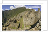 House Ruins at Machu Picchu by Anonymous