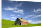 Old Barn in Wheat Field in Eastern Washington by Anonymous