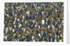 King Penguin Colony on South Georgia Island by Anonymous