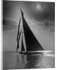 The Vanitie During the America's Cup by Anonymous