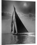 The Vanitie During the America's Cup by Anonymous