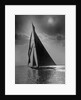 The Vanitie During the America's Cup by Anonymous