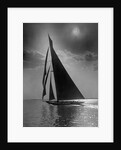 The Vanitie During the America's Cup by Anonymous