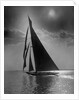 The Vanitie During the America's Cup by Anonymous
