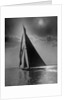The Vanitie During the America's Cup by Anonymous