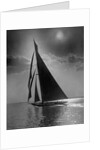 The Vanitie During the America's Cup by Anonymous