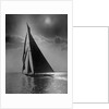 The Vanitie During the America's Cup by Anonymous