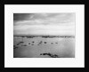 Sailboats Moored in Glen Cove by Anonymous