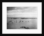 Sailboats Moored in Glen Cove by Anonymous