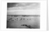 Sailboats Moored in Glen Cove by Anonymous