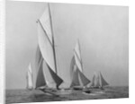 Saliboats Sailing Downwind by Anonymous