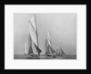 Saliboats Sailing Downwind by Anonymous