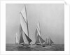 Saliboats Sailing Downwind by Anonymous