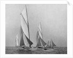 Saliboats Sailing Downwind by Anonymous