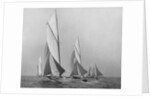 Saliboats Sailing Downwind by Anonymous