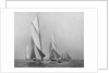 Saliboats Sailing Downwind by Anonymous
