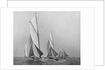 Saliboats Sailing Downwind by Anonymous