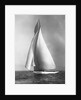 The Resolute Under Full Sail by Anonymous