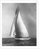 The Resolute Under Full Sail by Anonymous