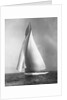 The Resolute Under Full Sail by Anonymous