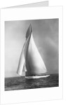 The Resolute Under Full Sail by Anonymous