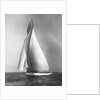 The Resolute Under Full Sail by Anonymous