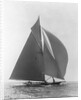 The Vanitie by Anonymous