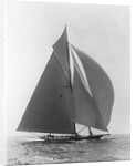 The Vanitie by Anonymous