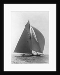 The Vanitie by Anonymous