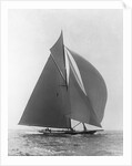 The Vanitie by Anonymous