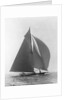 The Vanitie by Anonymous