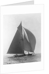 The Vanitie by Anonymous