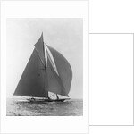 The Vanitie by Anonymous