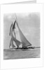 The Schooner Half Moon at Sail by Anonymous