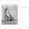 The Schooner Half Moon at Sail by Anonymous