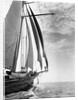 The Guinevere at Sail by Anonymous