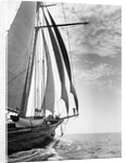 The Guinevere at Sail by Anonymous
