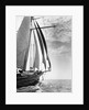 The Guinevere at Sail by Anonymous