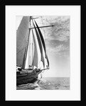 The Guinevere at Sail by Anonymous