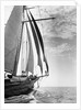 The Guinevere at Sail by Anonymous